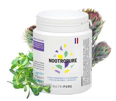 NOOTROPURE