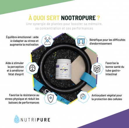 NOOTROPURE