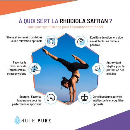Rhodiola Rosea + Safran
