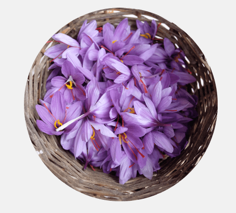 Rhodiola Rosea + Safran