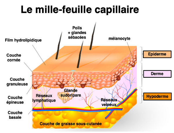 Le Brossage a sec