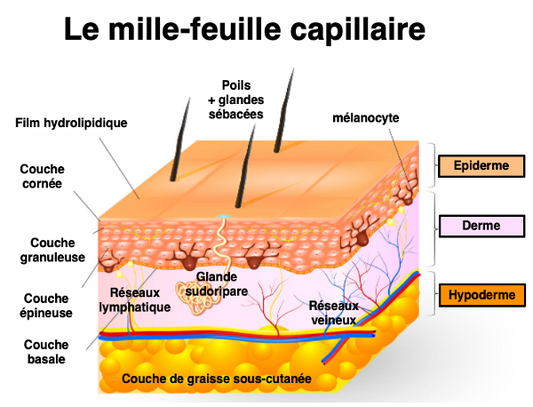 Le Brossage a sec